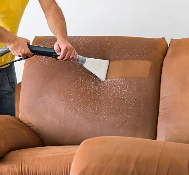 Upholstery Cleaning