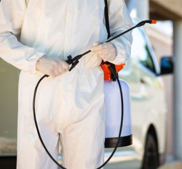 Pest Control & Disinfection