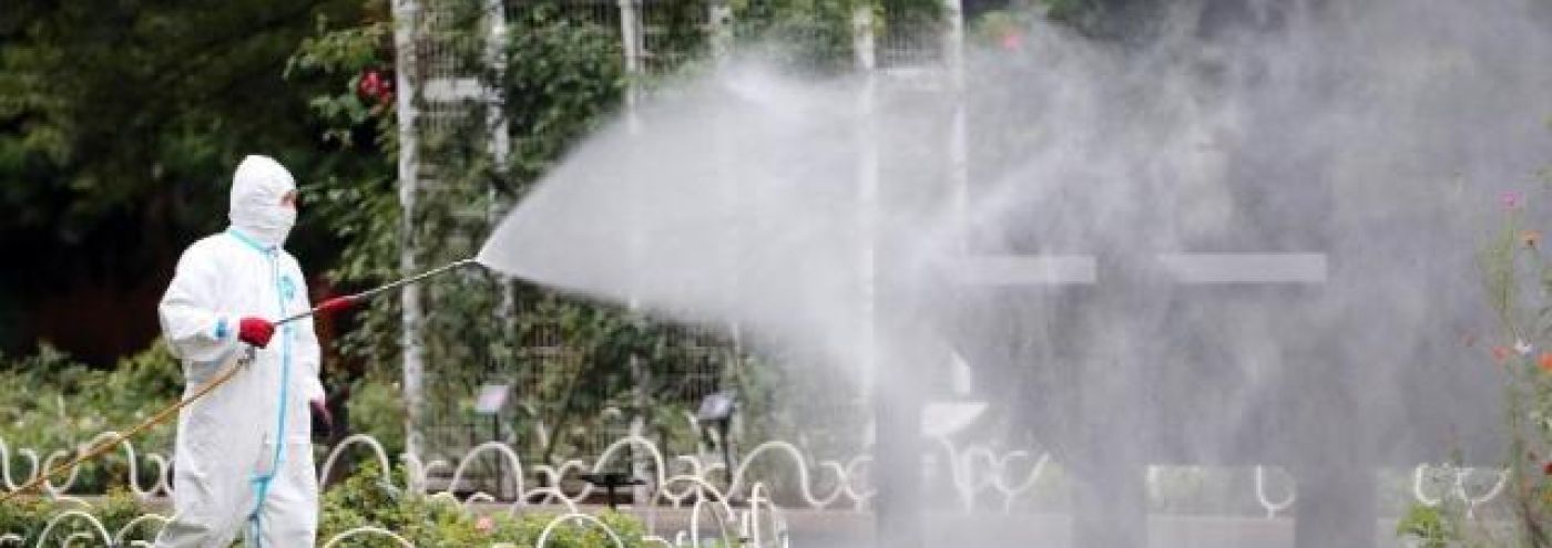 Dengue Control Spray Service