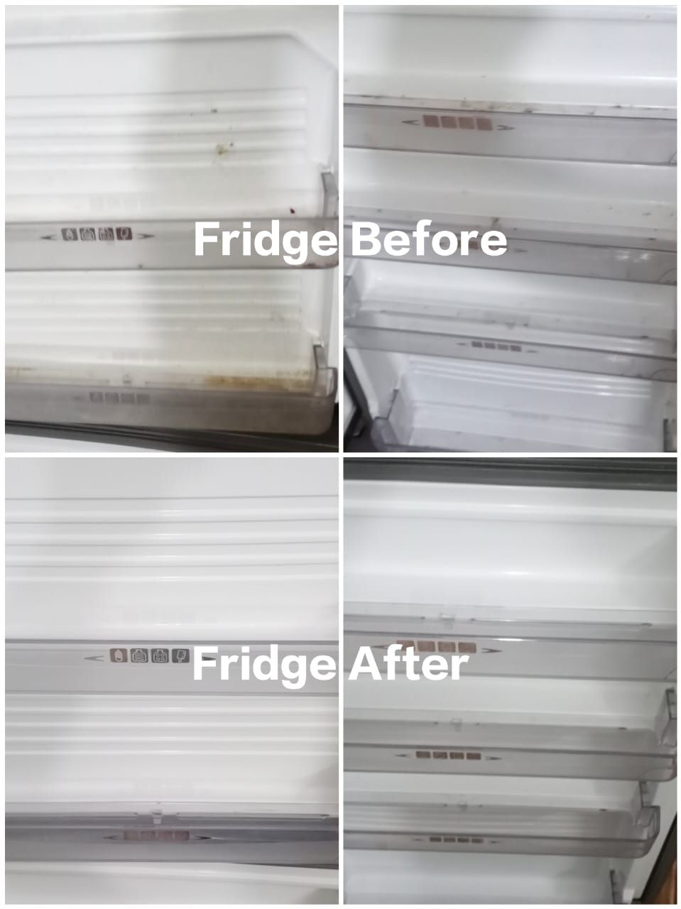 Fridge Cleaning