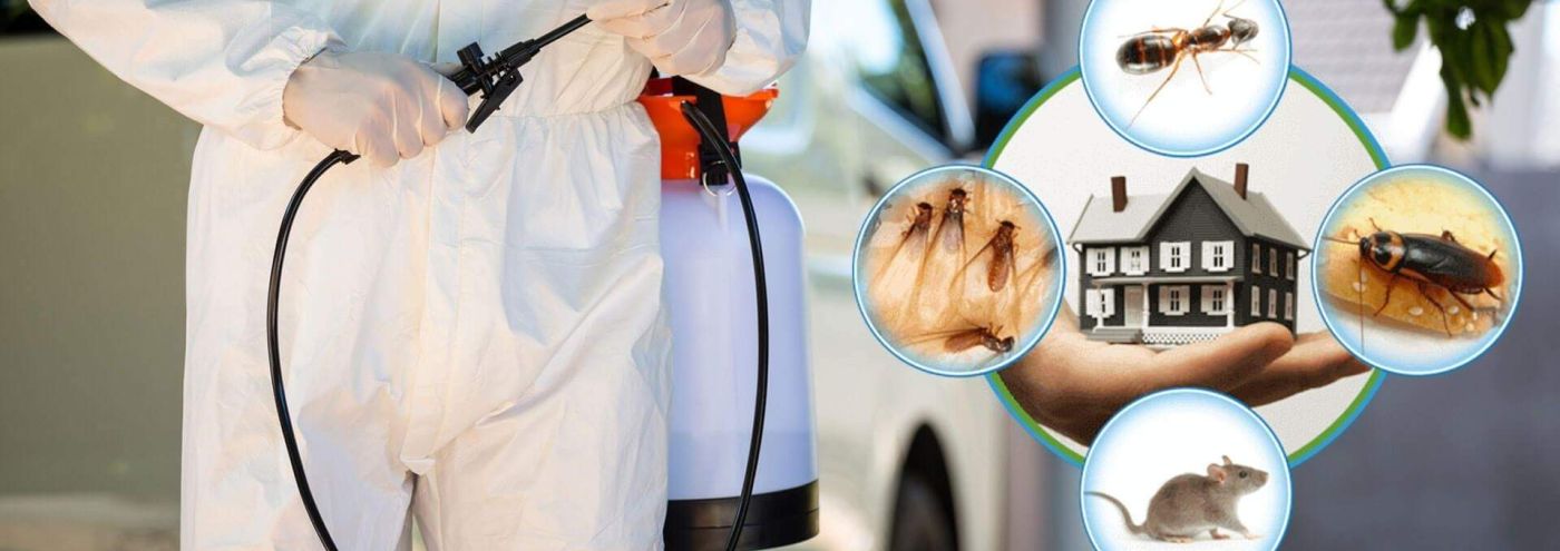 Pest Control Services